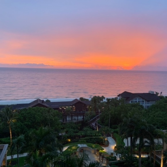 Meet your Posher, Alicia - Picture 1 of 1